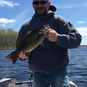 Meet your Posher, Joe